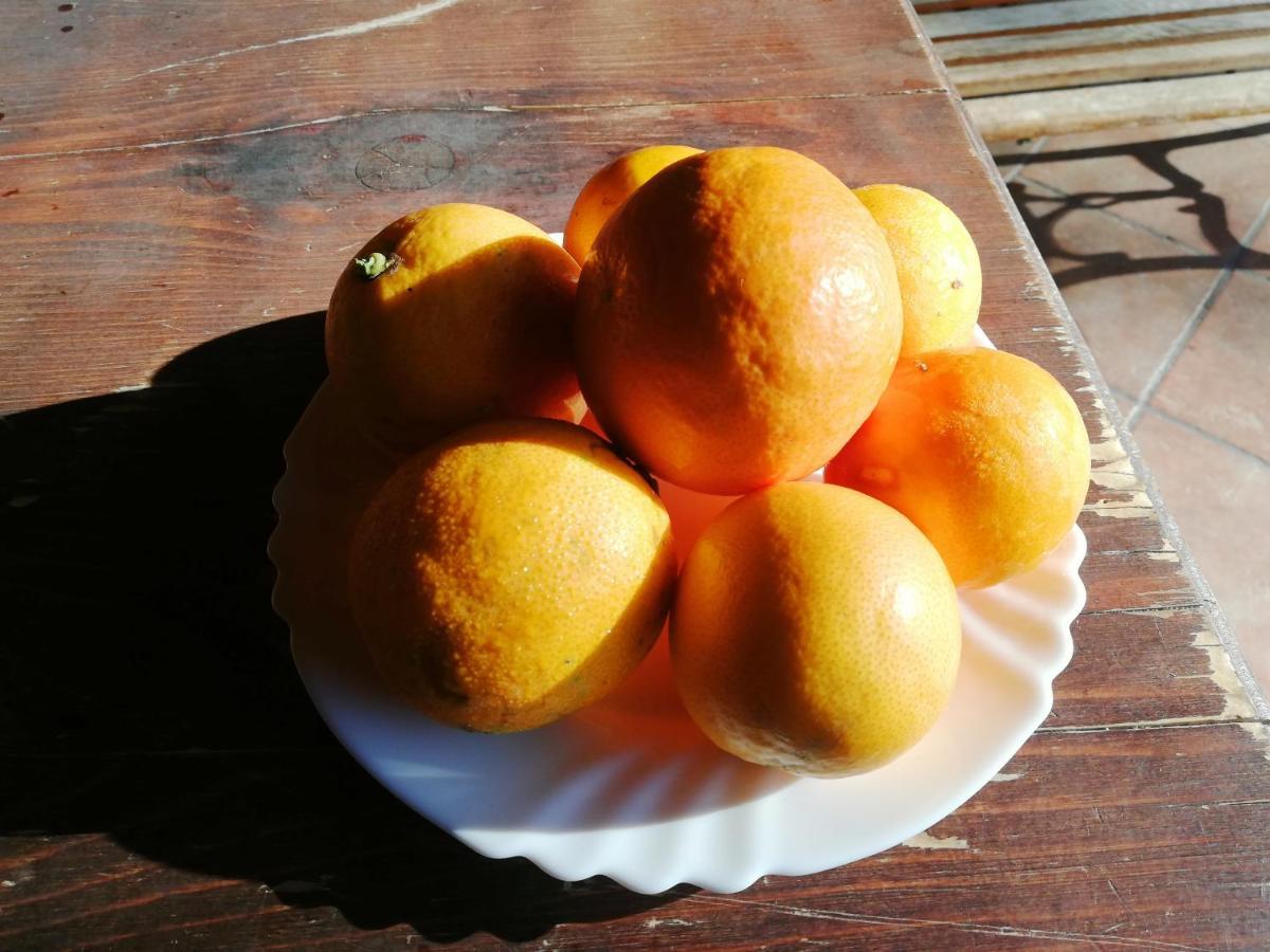 La Casetta B&B 밀라초 외부 사진